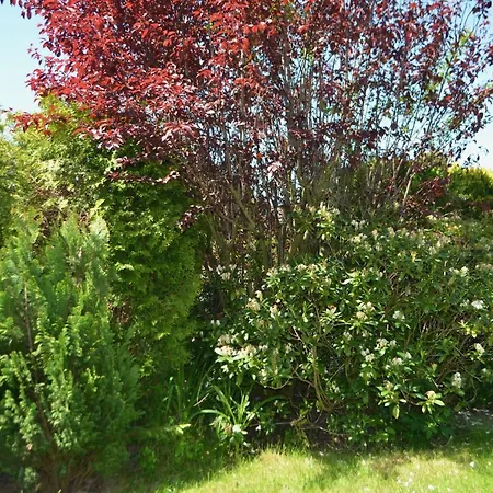 Appartement Yacht Im Schiffehaus Schillig