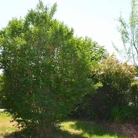 Yacht Im Schiffehaus Apartamento *