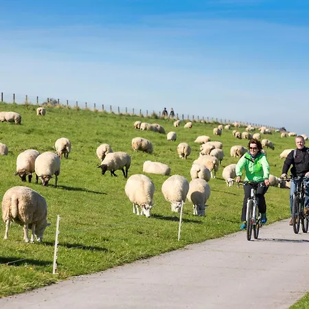 Yacht Im Schiffehaus Schillig