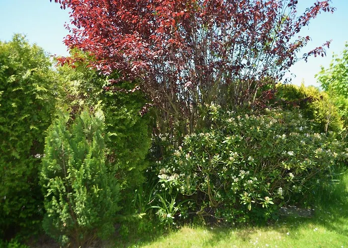 Daire Yacht Im Schiffehaus Schillig