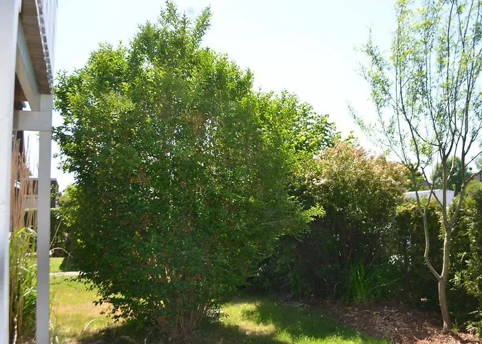 Yacht Im Schiffehaus Daire *