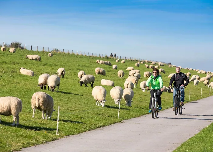 Yacht Im Schiffehaus Schillig
